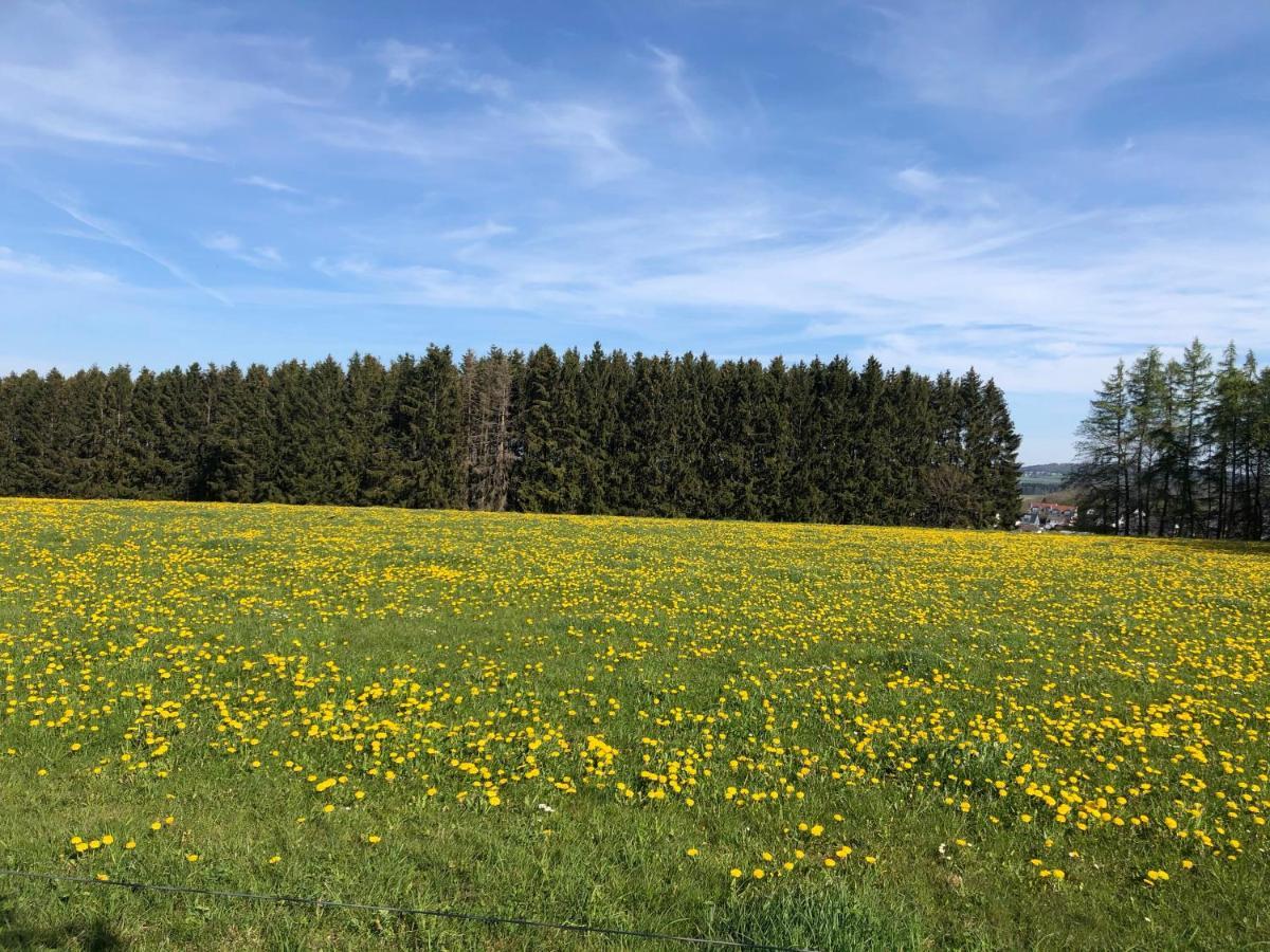 Ferienwohnung Am Wald Hachenburg Zewnętrze zdjęcie