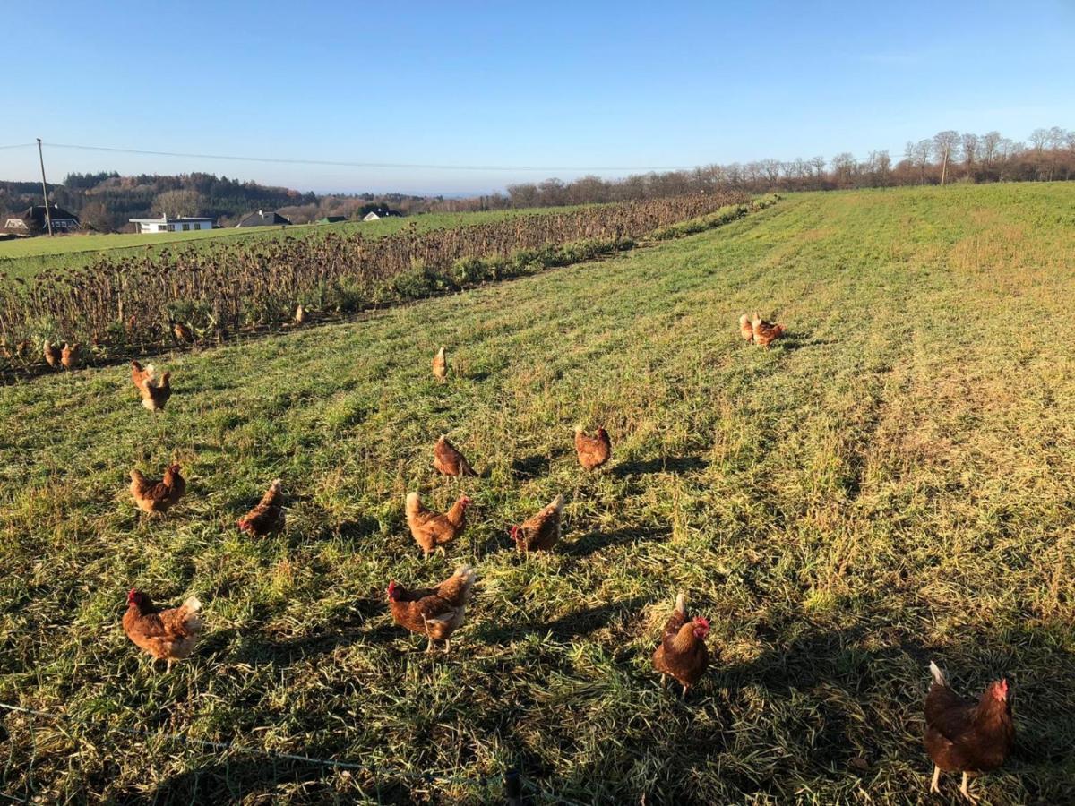 Ferienwohnung Am Wald Hachenburg Zewnętrze zdjęcie